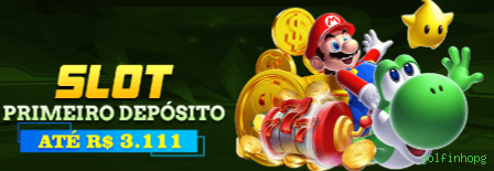 Suporte Login